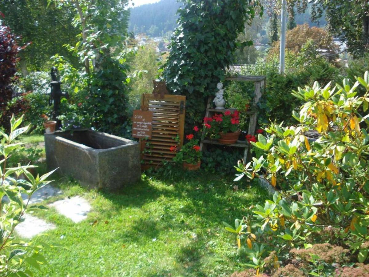 Hotel Pension Einsiedelei Zwiesel Esterno foto